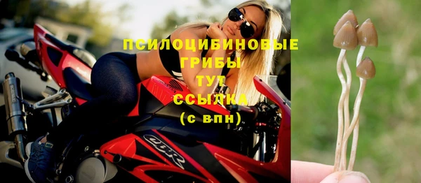 прущие крисы Алексин