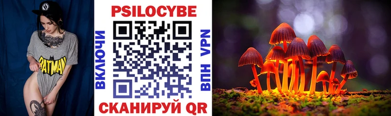 Псилоцибиновые грибы прущие грибы  Бобров 